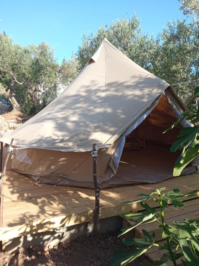 Mini Kamp Perla Otel Prvić Luka Dış mekan fotoğraf