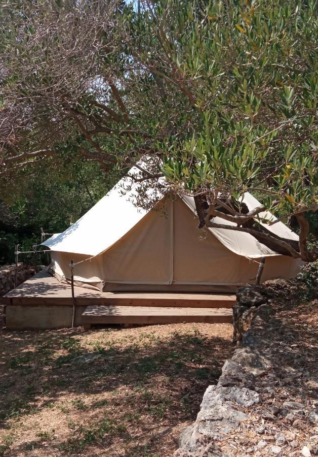 Mini Kamp Perla Otel Prvić Luka Dış mekan fotoğraf