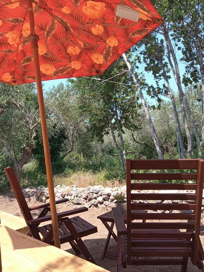 Mini Kamp Perla Otel Prvić Luka Dış mekan fotoğraf
