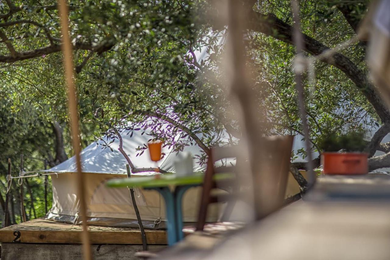 Mini Kamp Perla Otel Prvić Luka Dış mekan fotoğraf